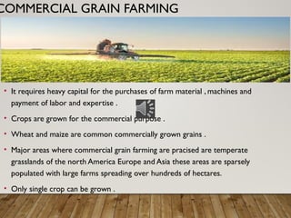 COMMERCIAL GRAIN FARMING
• It requires heavy capital for the purchases of farm material , machines and
payment of labor and expertise .
• Crops are grown for the commercial purpose .
• Wheat and maize are common commercially grown grains .
• Major areas where commercial grain farming are pracised are temperate
grasslands of the north America Europe and Asia these areas are sparsely
populated with large farms spreading over hundreds of hectares.
• Only single crop can be grown .
 