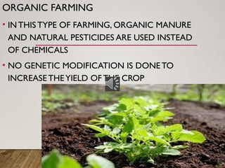ORGANIC FARMING
• IN THIS TYPE OF FARMING, ORGANIC MANURE
AND NATURAL PESTICIDES ARE USED INSTEAD
OF CHEMICALS
• NO GENETIC MODIFICATION IS DONETO
INCREASE THEYIELD OFTHE CROP
 