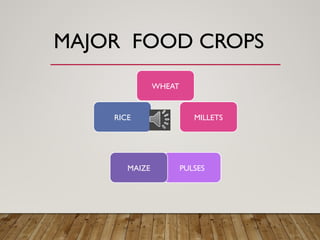 MAJOR FOOD CROPS
WHEAT
MILLETS
PULSES
MAIZE
RICE
 