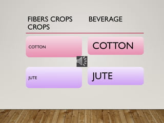 FIBERS CROPS BEVERAGE
CROPS
COTTON
JUTE
COTTON
JUTE
 