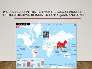 PRODUCING COUNTRIES – CHINA IS THE LARGEST PRODUCER
OF RICE , FOLLOWED BY INDIA , SRI LANKA , JAPAN AND EGYPT
 