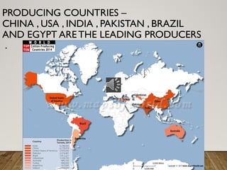 PRODUCING COUNTRIES –
CHINA , USA , INDIA , PAKISTAN , BRAZIL
AND EGYPT ARE THE LEADING PRODUCERS
.
 