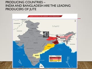 PRODUCING COUNTRIES –
INDIA AND BANGLADESH ARE THE LEADING
PRODUCERS OF JUTE
 