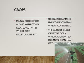 CROPS
• MAINLY FOOD CROPS
ALONG WITH OTHER
RELATED ACTIVITIES
WHEAT, RICE,
MILLET ,PULSES ETC
• SPECISLIZED FARMING
LIKE CORN SOYABEAN
WHEAT ,COTTON ETC
• THE LARGEST SINGLE
CROPWAS CORN
WHICH ACCOUNTED
FOR MORE THAN HALF
OFTHE NATIONS CROP
 