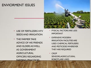 ENVIORMENT ISSUES
• USE OF FERTILIZERS HYV
SEEDS AND IRRIGATION
• THE FARMER TAKE
ADVICE OF HIS FRIENDS
AND ELDERS ASWELL
AS GOVERNMENT
AGRICULTURAL
OFFICERS REGARDING
FARMING PRACTICES
• PYSICAL FACTORS ARE LESS
IMPORTANT
• EXPENSIVE MODERN
IRRIGATION FACILITIES ARE
USED CHEMICAL FERTILISERS
AND PESTICIDES WHEREVER
THEY ARE REQUIRED
• CROP
SENSORS,AGRICULTURAL
ROBOTS,ARE USED
 