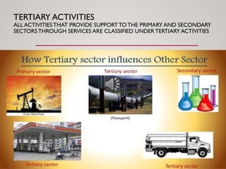 TERTIARY ACTIVITIES
ALL ACTIVITIESTHAT PROVIDE SUPPORTTOTHE PRIMARY AND SECONDARY
SECTORS THROUGH SERVICES ARE CLASSIFIED UNDERTERTIARY ACTIVITIES
 