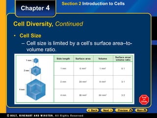 Section 2 Introduction to Cells 
Chapter 4 
Cell Diversity, Continued 
• Cell Size 
– Cell size is limited by a cell’s surface area–to-volume 
ratio. 
 