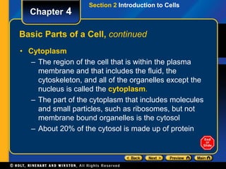 Section 2 Introduction to Cells 
Chapter 4 
Basic Parts of a Cell, continued 
• Cytoplasm 
– The region of the cell that is within the plasma 
membrane and that includes the fluid, the 
cytoskeleton, and all of the organelles except the 
nucleus is called the cytoplasm. 
– The part of the cytoplasm that includes molecules 
and small particles, such as ribosomes, but not 
membrane bound organelles is the cytosol 
– About 20% of the cytosol is made up of protein 
 