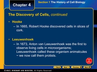 Section 1 The History of Cell Biology 
Chapter 4 
The Discovery of Cells, continued 
• Hooke 
– In 1665, Robert Hooke discovered cells in slices of 
cork. 
• Leeuwenhoek 
– In 1673, Anton van Leeuwenhoek was the first to 
observe living cells in microorganisms; 
Leeuwenhoek called these organism animalcules 
~ we now call them protists. 
 