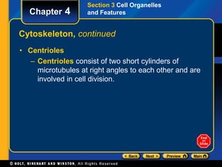 Chapter 4 
Section 3 Cell Organelles 
and Features 
Cytoskeleton, continued 
• Centrioles 
– Centrioles consist of two short cylinders of 
microtubules at right angles to each other and are 
involved in cell division. 
 