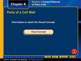 Chapter 4 
Section 4 Unique Features 
of Plant Cells 
Parts of a Cell Wall 
Click below to watch the Visual Concept. 
Visual Concept 
 