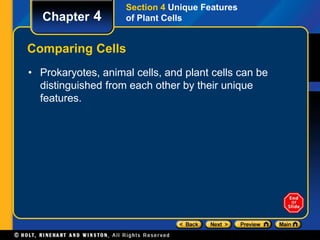 Chapter 4 
Section 4 Unique Features 
of Plant Cells 
Comparing Cells 
• Prokaryotes, animal cells, and plant cells can be 
distinguished from each other by their unique 
features. 
 