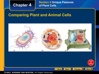 Chapter 4 
Section 4 Unique Features 
of Plant Cells 
Comparing Plant and Animal Cells 
