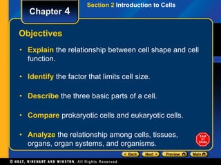 Section 2 Introduction to Cells 
Chapter 4 
Objectives 
• Explain the relationship between cell shape and cell 
function. 
• Identify the factor that limits cell size. 
• Describe the three basic parts of a cell. 
• Compare prokaryotic cells and eukaryotic cells. 
• Analyze the relationship among cells, tissues, 
organs, organ systems, and organisms. 
 