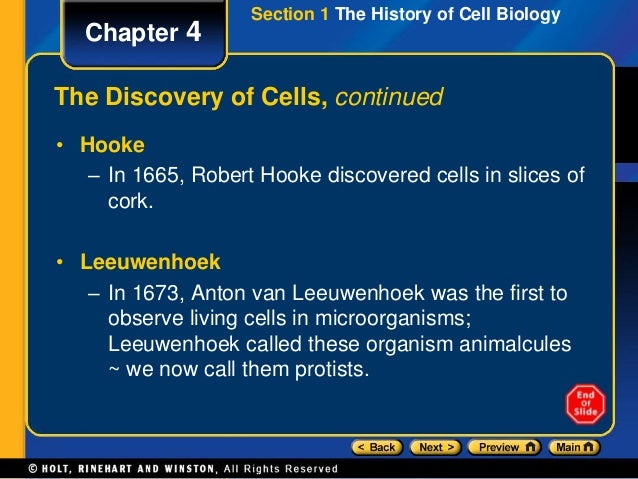 Ppt Cell Structure And Function Chapter 4 Biology 100 Cell Structure