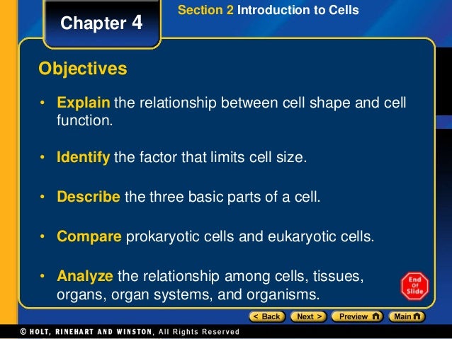 cell biology ppt why is there a limit on cell size
