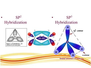 • SP2
Hybridization
• SP3
Hybridization
 