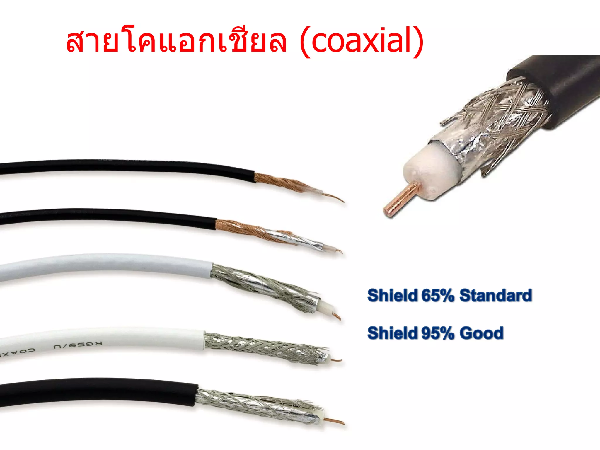 สายโคแอกเชียล  ( coaxial) 