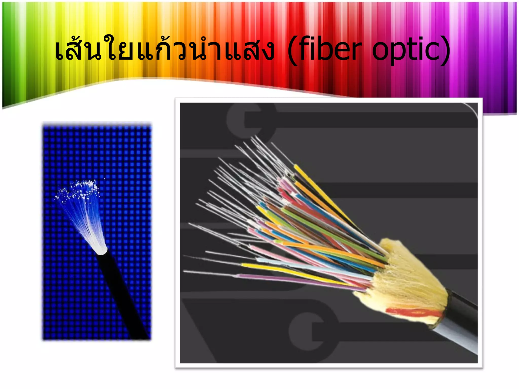 เส้นใยแก้วนำแสง  ( fiber optic) 
