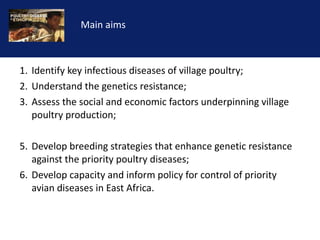 Reducing the impact of infectious disease on poultry production in Ethiopia