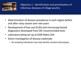 Reducing the impact of infectious disease on poultry production in Ethiopia