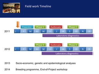 Reducing the impact of infectious disease on poultry production in Ethiopia