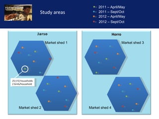 Reducing the impact of infectious disease on poultry production in Ethiopia