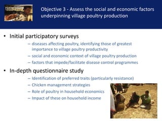 Reducing the impact of infectious disease on poultry production in Ethiopia