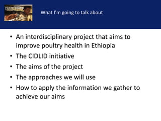Reducing the impact of infectious disease on poultry production in Ethiopia