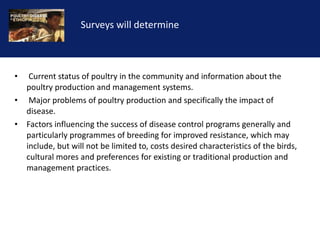 Reducing the impact of infectious disease on poultry production in Ethiopia
