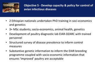 Reducing the impact of infectious disease on poultry production in Ethiopia