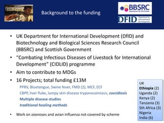 Reducing the impact of infectious disease on poultry production in Ethiopia