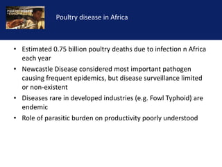 Reducing the impact of infectious disease on poultry production in Ethiopia