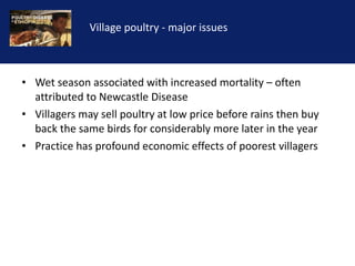 Reducing the impact of infectious disease on poultry production in Ethiopia