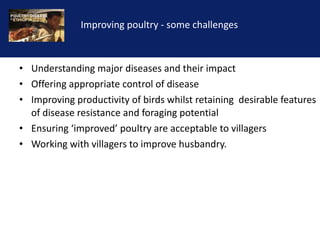 Reducing the impact of infectious disease on poultry production in Ethiopia