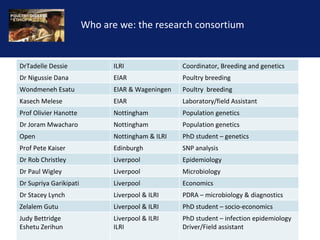 Reducing the impact of infectious disease on poultry production in Ethiopia