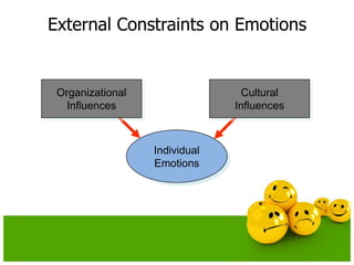 External Constraints on EmotionsOrganizationalInfluencesCulturalInfluencesIndividualEmotions