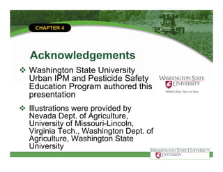 Chemical components of Active and Inert 4_Formulations (2).pdf