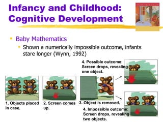 Infancy and Childhood:
 Cognitive Development

   Baby Mathematics
       Shown a numerically impossible outcome, infants
        stare longer (Wynn, 1992)
                                      4. Possible outcome:
                                      Screen drops, revealing
                                      one object.




1. Objects placed   2. Screen comes 3. Object is removed.
in case.            up.                4. Impossible outcome:
                                       Screen drops, revealing
                                       two objects.
 