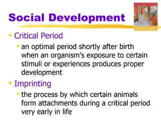 Social Development
 Critical Period
   an optimal period shortly after birth
    when an organism’s exposure to certain
    stimuli or experiences produces proper
    development
 Imprinting
   the process by which certain animals
    form attachments during a critical period
    very early in life
 