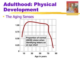 Adulthood: Physical
Development
 The Aging Senses

       1.00


       0.75


       0.50        Proportion of normal
                   (20/20) vision when
                   identifying letters on
       0.25        an eye chart


         0
              10        30       50         70   90
                             Age in years
 