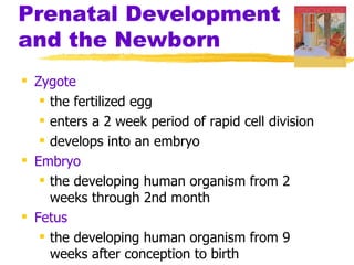 Prenatal Development
and the Newborn
 Zygote
    the fertilized egg
    enters a 2 week period of rapid cell division
    develops into an embryo
 Embryo
    the developing human organism from 2
     weeks through 2nd month
 Fetus
    the developing human organism from 9
     weeks after conception to birth
 