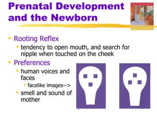 Prenatal Development
and the Newborn

 Rooting Reflex
   tendency to open mouth, and search for
    nipple when touched on the cheek
 Preferences
   human voices and
    faces
     facelike images-->
   smell and sound of
    mother
                           preferred
 