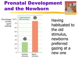 Prenatal Development
and the Newborn

                Having
                habituated to
                the old
                stimulus,
                newborns
                preferred
                gazing at a
                new one
 
