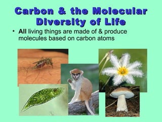 Carbon & the MolecularCarbon & the Molecular
Diversity of LifeDiversity of Life
• All living things are made of & produce
molecules based on carbon atoms
 