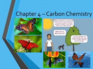 Chapter 4 – Carbon Chemistry
 