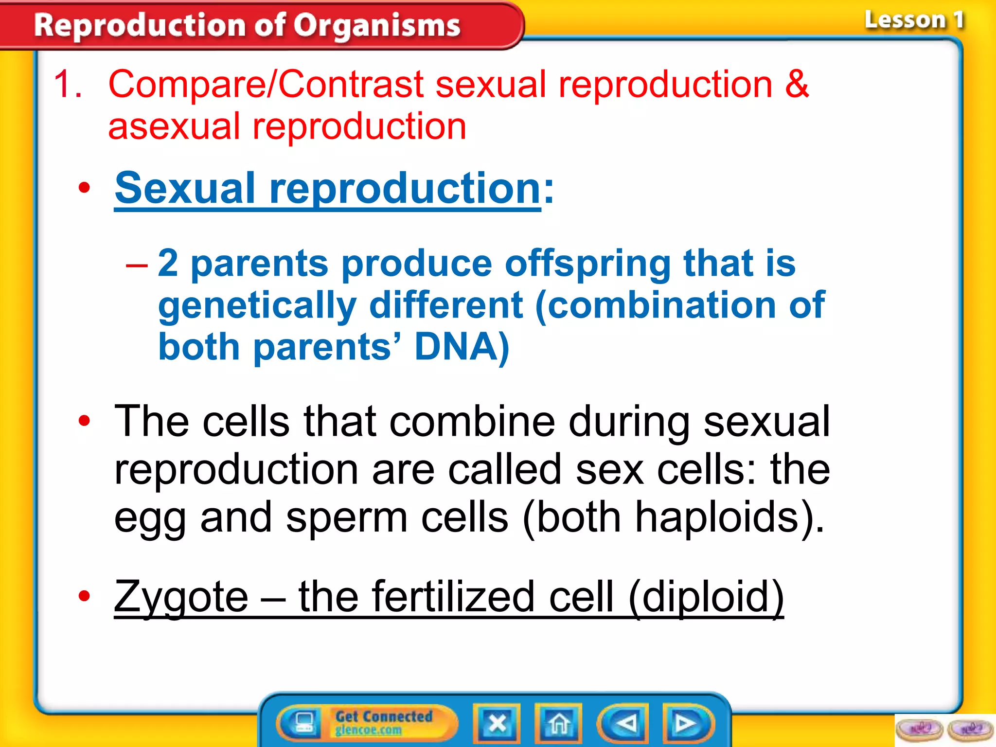 1. Compare/Contrast sexual reproduction & 
asexual reproduction 
• Sexual reproduction: 
– 2 parents produce offspring that is 
genetically different (combination of 
both parents’ DNA) 
• The cells that combine during sexual 
reproduction are called sex cells: the 
egg and sperm cells (both haploids). 
• Zygote – the fertilized cell (diploid) 
 