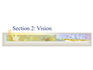 Section 2: Vision 