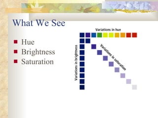 What We See <ul><li>Hue </li></ul><ul><li>Brightness </li></ul><ul><li>Saturation </li></ul>