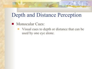 Depth and Distance Perception <ul><li>Monocular Cues:  </li></ul><ul><ul><li>Visual cues to depth or distance that can be ...